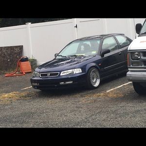 Meet your Posher, Alex